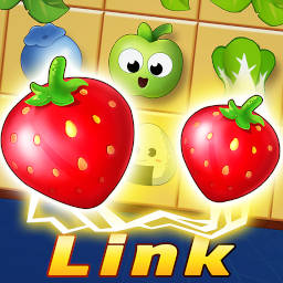 Link Puzzle Game